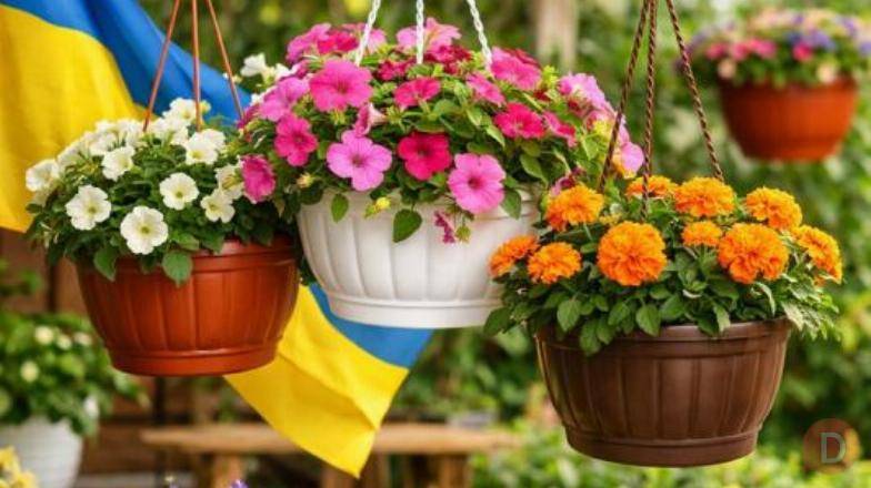 Підвісні горщики для квітів: оптом та в роздріб. Киев - изображение 1