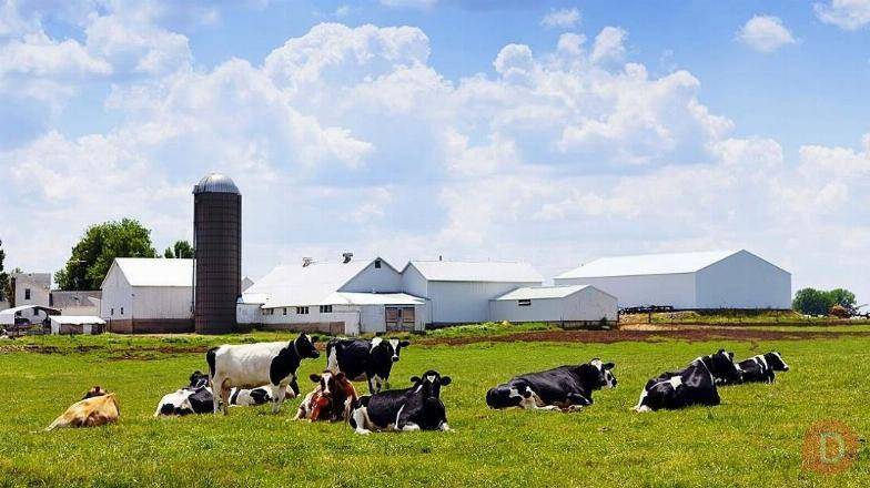 ПРОДАМ БОЛЬШУЮ ФЕРМУ. СОКУЛУК. ДОРОГО. 0554000071 Bishkek - изображение 1