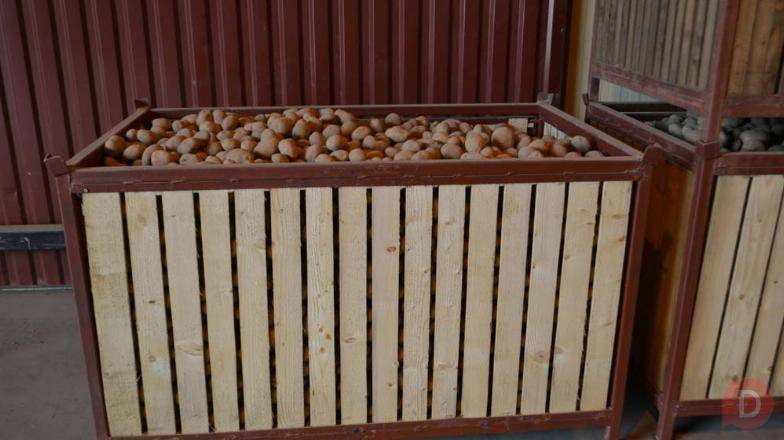 Контейнер для хранения корнеклубнеплодов емкостью 1000кг Bishkek - изображение 1