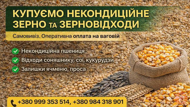 Закупівля некондиційного зерна та агровідходів по Україні Полтава - изображение 1