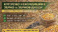 Купуємо некондиційне зерно та відходи сільгоспкультур