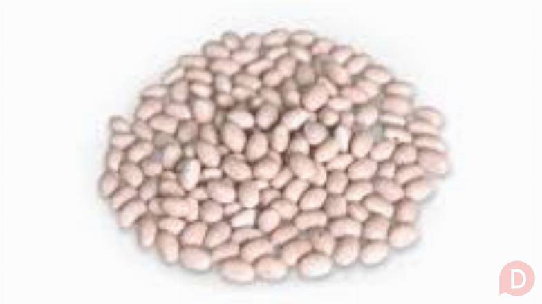 Насіння квасолі – Неві Бінс, Пінто, Ред Кідні, Червона Шапочка Винница - изображение 1