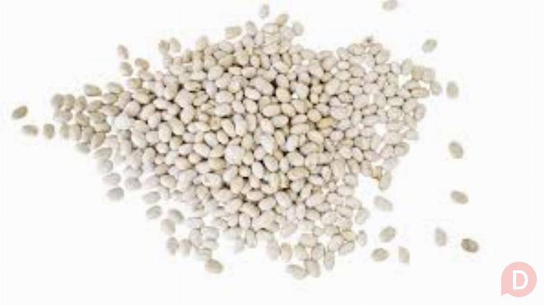 Закуповуємо квасолю для переробки Ивано-Франковск - изображение 1