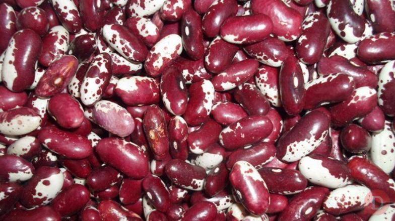 Продаж квасолі оптом в Україні Киев - изображение 1
