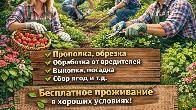 Требуются мужчины и женщины для работы в саду