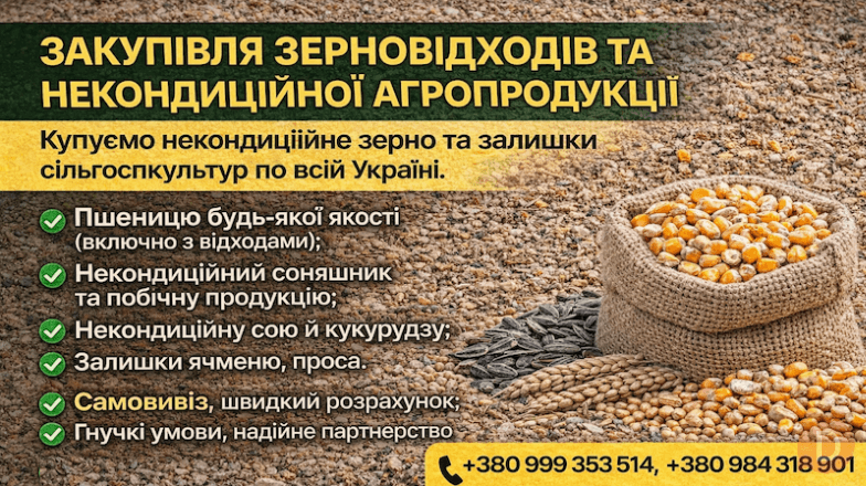 Закупівля зерновідходів та некондиційної агропродукції Киев - изображение 1