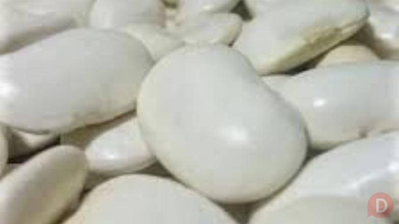 Продаємо насіння квасолі з доставкою по Україні Житомир - изображение 1