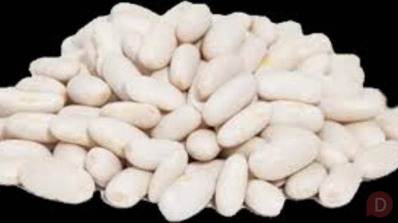 Купуємо квасолю у фермерів та с.г підприємств Винница - изображение 1