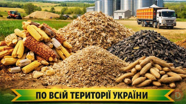 Купуємо зерновідходи та некондицію Полтава - изображение 1