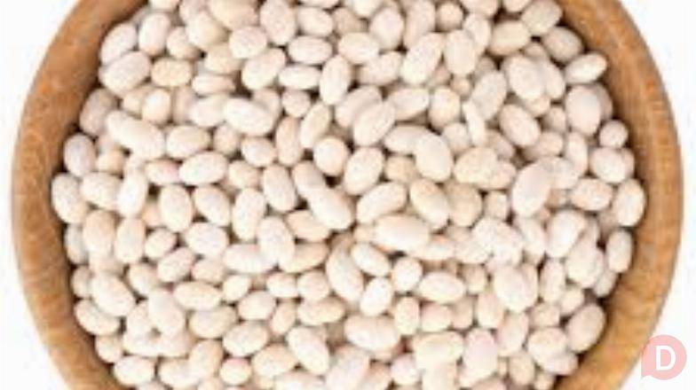 Купуємо квасолю від 10 тонн Полтава - изображение 1