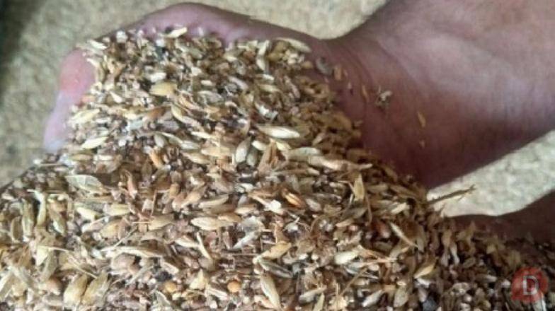 Купуємо зерновідходи та некондиційне зерно. Самовивіз Киев - изображение 1