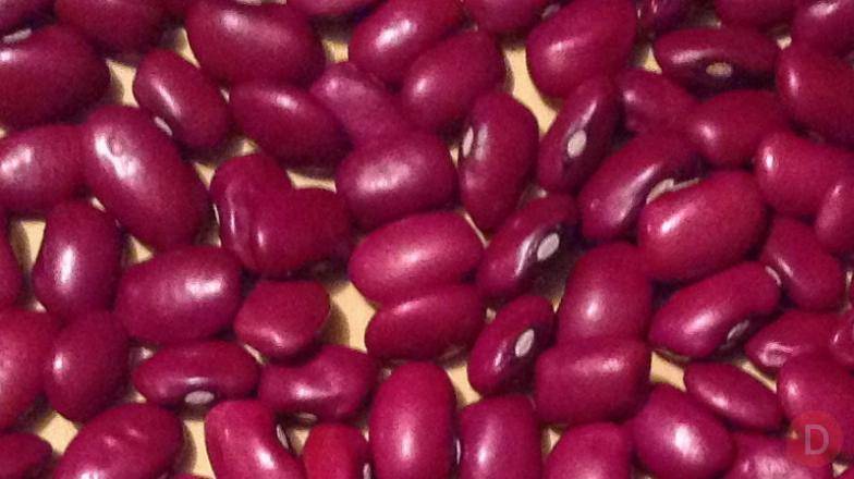 Продаємо квасолю. Доставимо власним транспортом. Днепропетровск - изображение 1