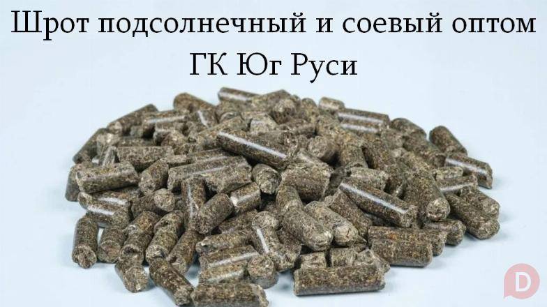 Шрот подсолнечный и соевый оптом - ГК Юг Руси Ростов-на-Дону - изображение 1