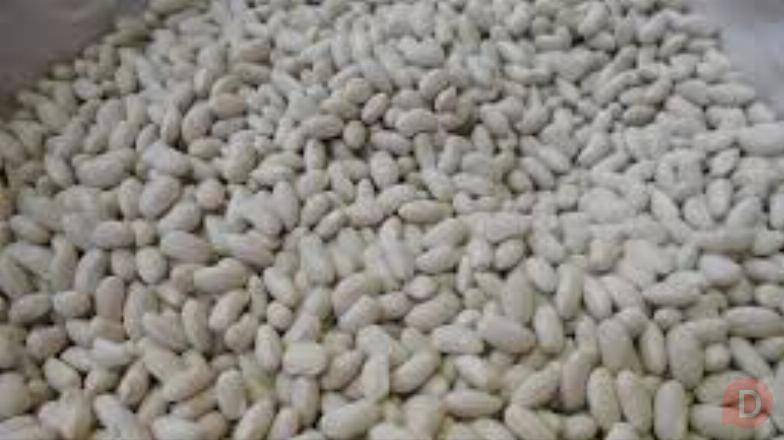 Посівма квасолі. Форвардні контракти. Гарантований викуп врожаю. Винница - изображение 1