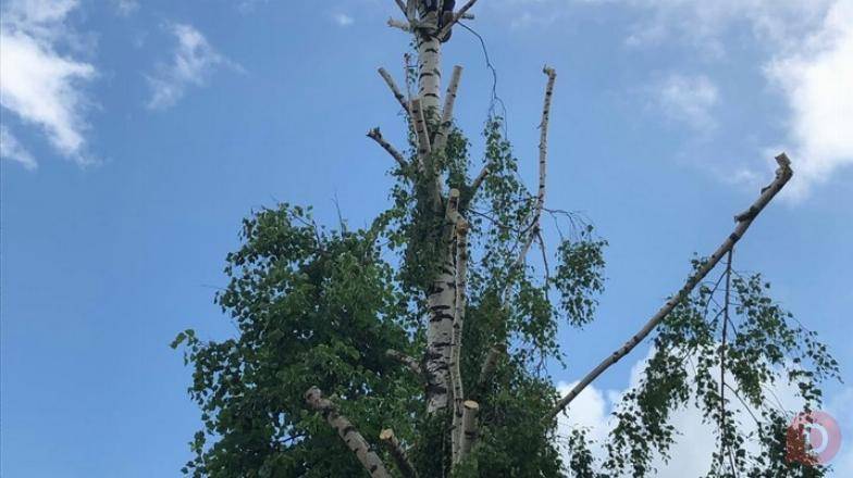 Выполняем все виды строительных работ Ковров - изображение 1