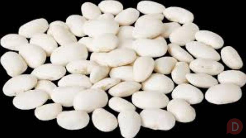 Закуповуємо квасолю по всій Україні з організацією самовивозу. Житомир - изображение 1