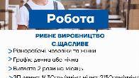 Робота на харчовому виробництві з безкоштовним проживанням у с. Щаслив