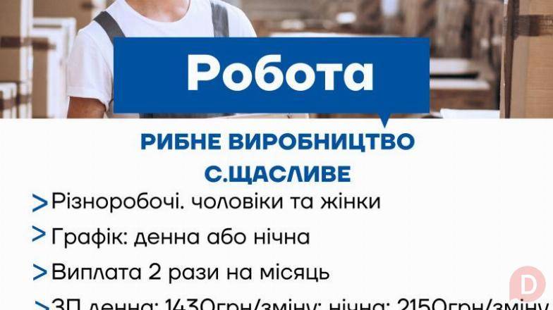 Робота на харчовому виробництві з безкоштовним проживанням у с. Щаслив Борисполь - изображение 1