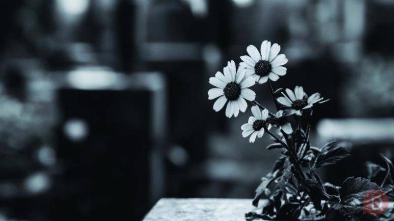 Ритуальные услуги и груз 200 в Харькове Киев - изображение 1