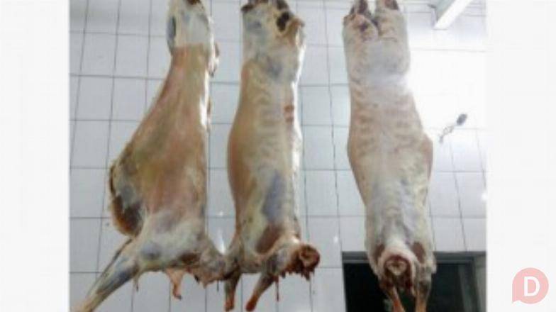 Продажа баранины оптом от производителя Баку - изображение 1