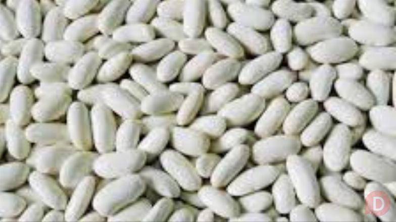 Насіння квасолі та стабільний ринок збуту Кировоград - изображение 1