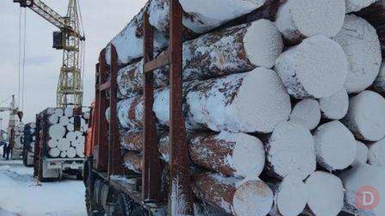 Кедр, лиственница, сосна доска, кругляк от производителя. Лесосибирск - изображение 1