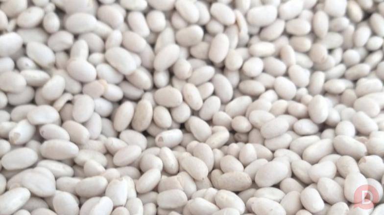 Пропонуємо квасолю від виробника Житомир - изображение 1