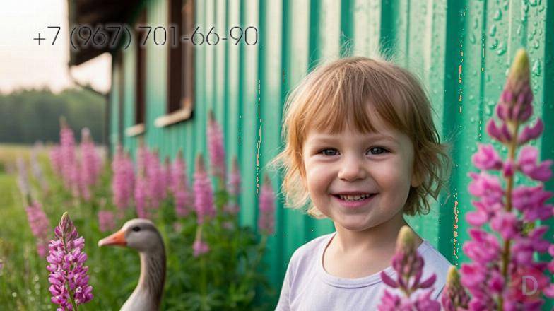 Обшить деревенский дом профлистом, сайдингом в Пензе и Пензенской обл Пенза - изображение 1