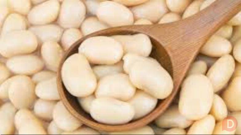 Компанія-переробник здійснює закупівлю квасолі Полтава - изображение 1