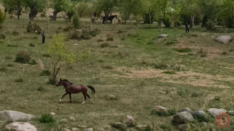 Продается земельный участок с панорамным видом на озеро Иссык Куль Бишкек - изображение 1