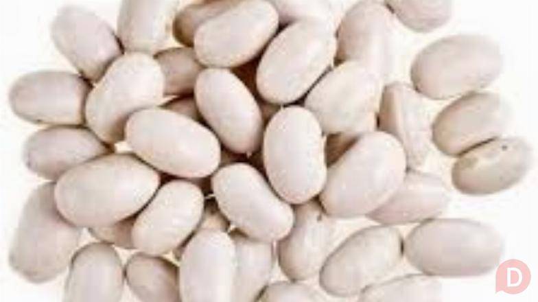 Закупка квасолі на переробку, консервування Винница - изображение 1