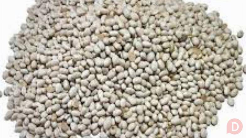 Насіння квасолі Червона Шапочка, Неві Бінс, Ред Кідні, Пінто Кировоград - изображение 1