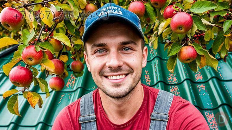 Бригада кровельщиков в Сердобском районе заменит кровлю в Сердобске Сердобск - изображение 1