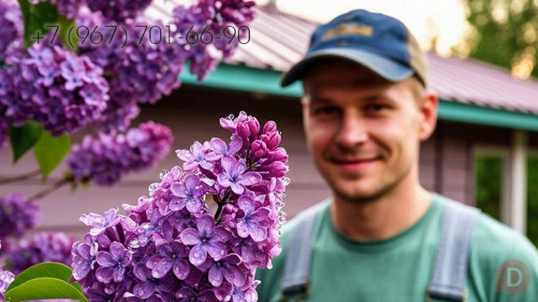 Кровельщики для замены кровли в Нижнеломовском районе в Пензе Нижний Ломов - изображение 1