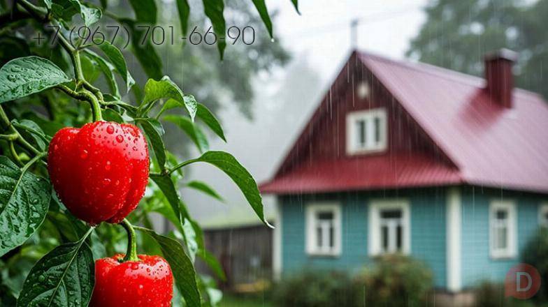 Замена кровли крыши в Никольском районе, обшивка дома Никольск - изображение 1
