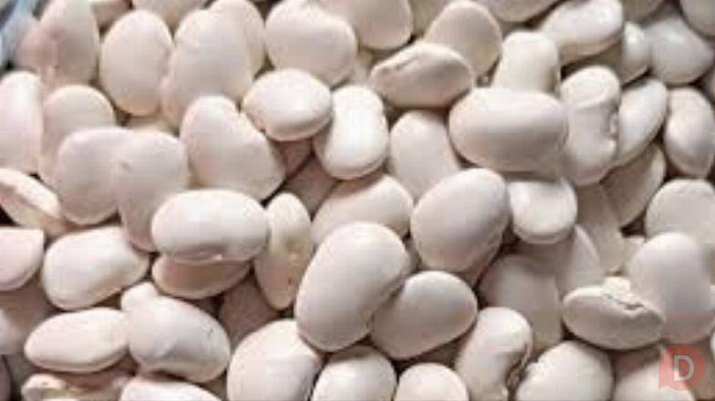 Купуємо квасолю на переробку, консервування. Самовивіз по Україні Полтава - изображение 1