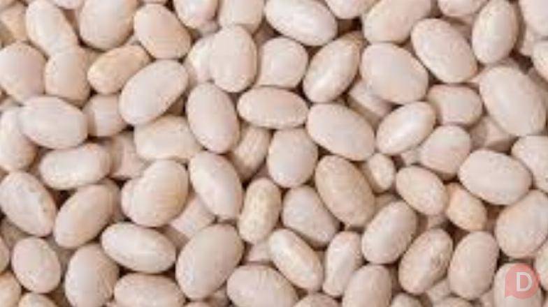 Посівмат квасолі з гарантією викупу врожаю. Житомир - изображение 1