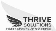 Thrive Marketing Solutions: веб- и маркетинговое агентство