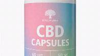CBD капсулы 25 мг — премиум-поддержка баланса и спокойствия