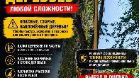 Профессиональное спиливание деревьев любой сложности!