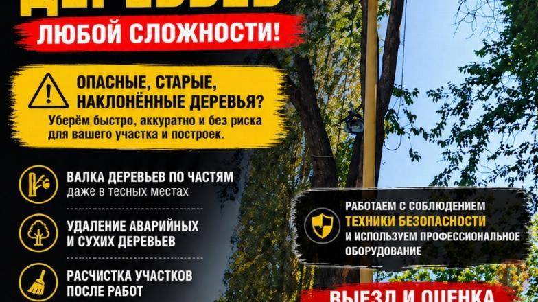 Профессиональное спиливание деревьев любой сложности! Bishkek - изображение 1