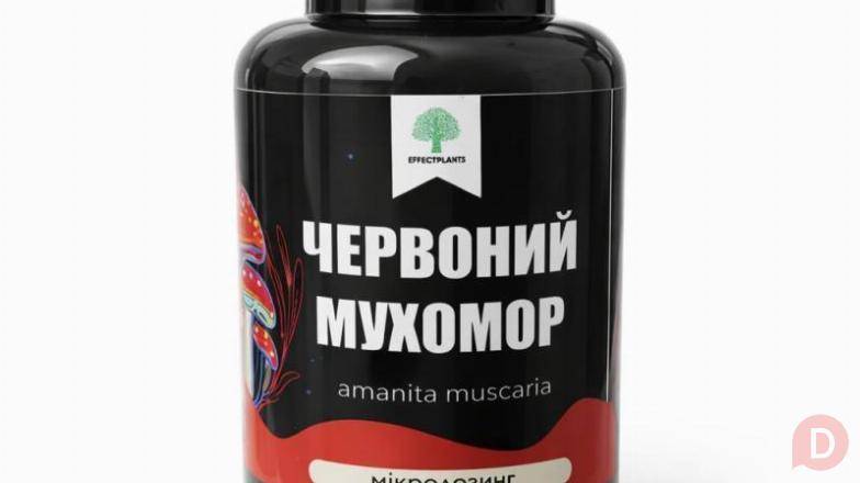 Микродозинг красного мухомора — энергия, ясность, баланс в 60 капсулах Днепропетровск - изображение 1