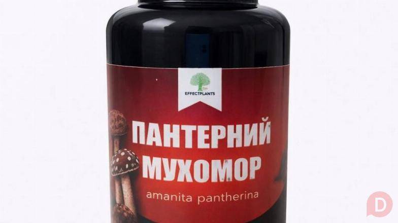 Пантерный мухомор микродозинг 100 капсул 50 г — энергия, ясность, внут Киев - изображение 1