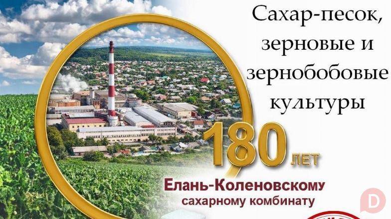 Сахар-песок, зерновые и зернобобовые культуры в Казахстане Astana - изображение 1