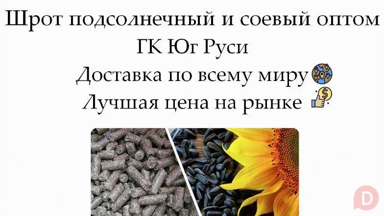 Шрот подсолнечный и соевый оптом от производителя ГК Юг Руси Ростов-на-Дону - изображение 1