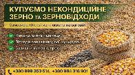 Закуповуємо по Україні зерновідходи та некондицію