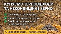 Купуємо зерновідходи та некондицію по Україні. Працюємо з посередникам