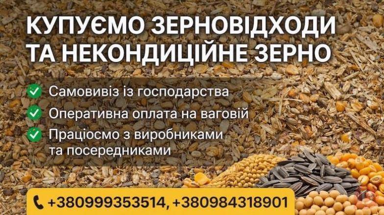 Купуємо зерновідходи та некондицію по Україні. Працюємо з посередникам Днепропетровск - изображение 1