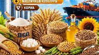 Сахар, зерновые и зернобобовые, масличные культуры, корма в Казахстане