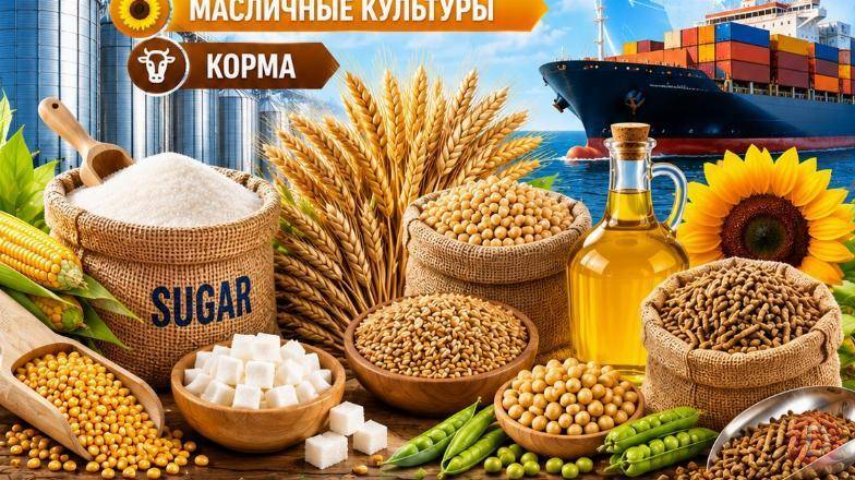 Сахар, зерновые и зернобобовые, масличные культуры, корма в Турции Стамбул - изображение 1